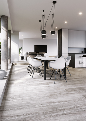 Podlaha Floor Forever Vinyl, kolekceEconomy Vinyl 0,3, dekor 4501