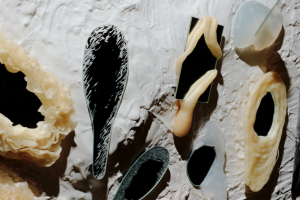 Terra Aesthetica Sofie Artemevy na Venice Design Biennial