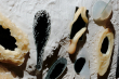 Terra Aesthetica Sofie Artemevy na Venice Design Biennial Terra Aesthetica Sofie Artemevy na Venice Design Biennial
