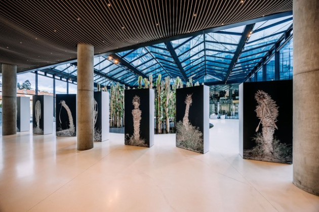 Broken Flowers: Výstava, která rozbíjí hranice reality, technologie i paměti 