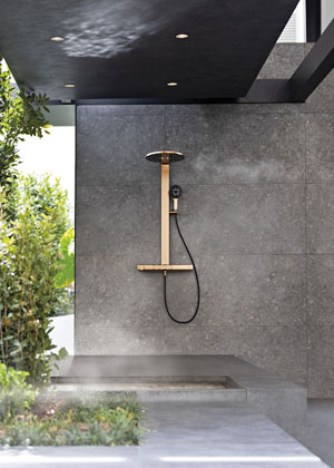 Rainshower Aqua Pure, sprchov&yacute; syst&eacute;m s&nbsp;velkorysou hlavovou sprchou, různ&yacute;mi režimy proudu, ovl&aacute;d&aacute;n&iacute;m pomoc&iacute; termostatu SmartControl a&nbsp;filtrem v&nbsp;ručn&iacute; spr&scaron;e, kter&yacute; odstraňuje chl&oacute;r a&nbsp;než&aacute;douc&iacute; pachy z&nbsp;vody,  cena na&nbsp;dotaz