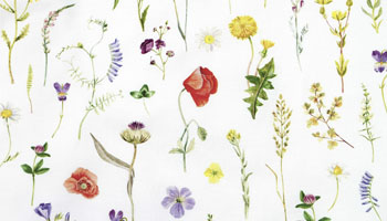 Letn&iacute; louka, bavlněn&eacute; prost&iacute;r&aacute;n&iacute;, rozměry 43 &times; 33 cm, cena 149 Kč