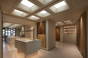 Rytmus dřeva Rytmus dřeva