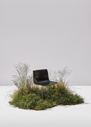 Catifa Carta, design Lievore Altherr Molina, skořepinov&aacute; židle z&nbsp;kompozitu vyroben&eacute;ho ze zbytkov&eacute;ho dřeva a&nbsp;př&iacute;rodn&iacute; pryskyřice,  cena na dotaz