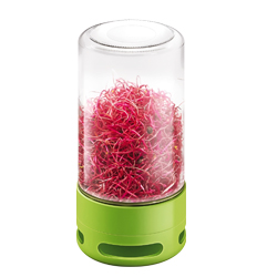 Skleněn&aacute; n&aacute;doba SENSE s&nbsp;ventilačn&iacute;m kom&iacute;nkem pro snadn&eacute; pěstov&aacute;n&iacute; zdrav&yacute;ch kl&iacute;čků. Pojme  až čtyři lž&iacute;ce sem&iacute;nek, zaji&scaron;ťuje dokonal&eacute; mikroklima a&nbsp;efektivn&iacute; odvod přebytečn&eacute; vody. 