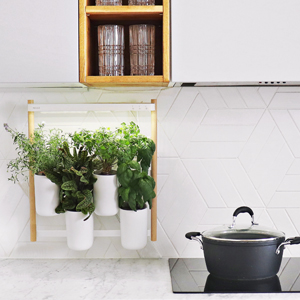 Z řady Modulo 2 od Pr&ecirc;t &agrave; Pousser snadno vytvoř&iacute;te zelenou stěnu. Vyb&iacute;rat můžete z 60 druhů rostlinn&yacute;ch kapsl&iacute; bylinek, květin a minizeleniny.