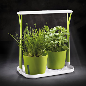 Čerstv&eacute; bylinky po cel&yacute; rok d&iacute;ky pěst&iacute;rně SENSE s&nbsp;LED osvětlen&iacute;m, časovačem a&nbsp;dotykov&yacute;m ovl&aacute;d&aacute;n&iacute;m. Ide&aacute;ln&iacute; pro pěstov&aacute;n&iacute; čerstv&yacute;ch bylinek v&nbsp;pohodl&iacute; domova.