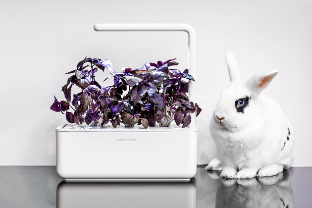 Truhl&iacute;k Smart Garden pro pěstov&aacute;n&iacute; bylinek, ovoce a&nbsp;zeleniny doma. Snadn&yacute; růst rostlin d&iacute;ky kapslov&eacute;mu syst&eacute;mu pro čerstv&eacute; plodiny po cel&yacute; rok 