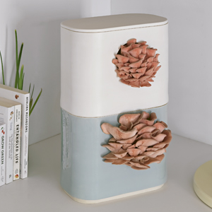 GUS je modul&aacute;rn&iacute; keramick&yacute; květin&aacute;č se specializovan&yacute;mi patentovan&yacute;mi funkcemi  pro pěstov&aacute;n&iacute; hub. Květin&aacute;če lze skl&aacute;dat na sebe a&nbsp;vytvořit vertik&aacute;ln&iacute; houbovou farmu. 