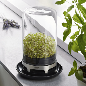 Skleněn&aacute; d&oacute;za BIVITA od značky GEFU funguje jako praktick&yacute; miniaturn&iacute; sklen&iacute;k. D&iacute;ky integrovan&eacute; ventilaci zaji&scaron;ťuje optim&aacute;ln&iacute; podm&iacute;nky pro pěstov&aacute;n&iacute; čerstv&yacute;ch kl&iacute;čků 