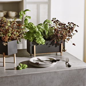 Květin&aacute;č Botanic Herb Box od Design House  Stockholm kombinuje skandin&aacute;vsk&yacute; design s&nbsp;praktickou funkčnost&iacute;. Čerstv&eacute; bylinky nebo mikrogreens pov&yacute;&scaron;&iacute; kulin&aacute;řsk&eacute; uměn&iacute;. 