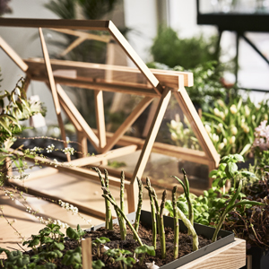 Atelier 2+ navrhl sklen&iacute;k Greenhouse, kter&yacute; je kompaktn&iacute; pro interi&eacute;ry, ale nab&iacute;z&iacute; dostatek prostoru pro miniaturn&iacute; zahr&aacute;dku. Je vyroben z&nbsp;masivn&iacute;ho jasanu a&nbsp;tvrzen&eacute;ho bezpečnostn&iacute;ho skla 