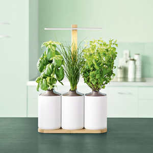 Modul&aacute;rn&iacute; hydroponick&yacute; syst&eacute;m Lilo Modulo 2 od Pr&ecirc;t &agrave; Pousser umožňuje chytr&eacute; ovl&aacute;d&aacute;n&iacute; osvětlen&iacute;  přes smartphone. Balen&iacute; obsahuje rostlinn&eacute; kapsle. &rarr; pretapousser.fr