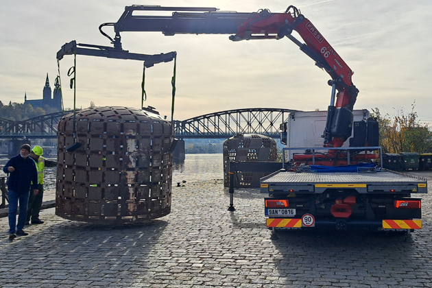 Rezav&eacute; květy Čestm&iacute;ra Su&scaron;ky