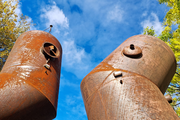 Rezav&eacute; květy Čestm&iacute;ra Su&scaron;ky