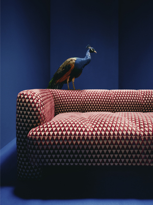 Pohovka Bobi, žak&aacute;rov&yacute; samet Amuleto, r&aacute;m z&nbsp;masivn&iacute;ho dřeva, rozměry 178 &times; 82 &times; 68 cm,&nbsp;cena 51 599&nbsp;Kč