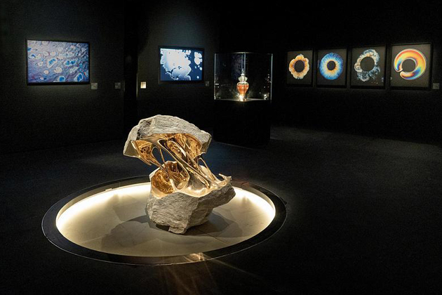 Čern&eacute; zlato jako uměn&iacute;: V Rij&aacute;du se otev&iacute;r&aacute; muzeum v budově od Zahy Hadid